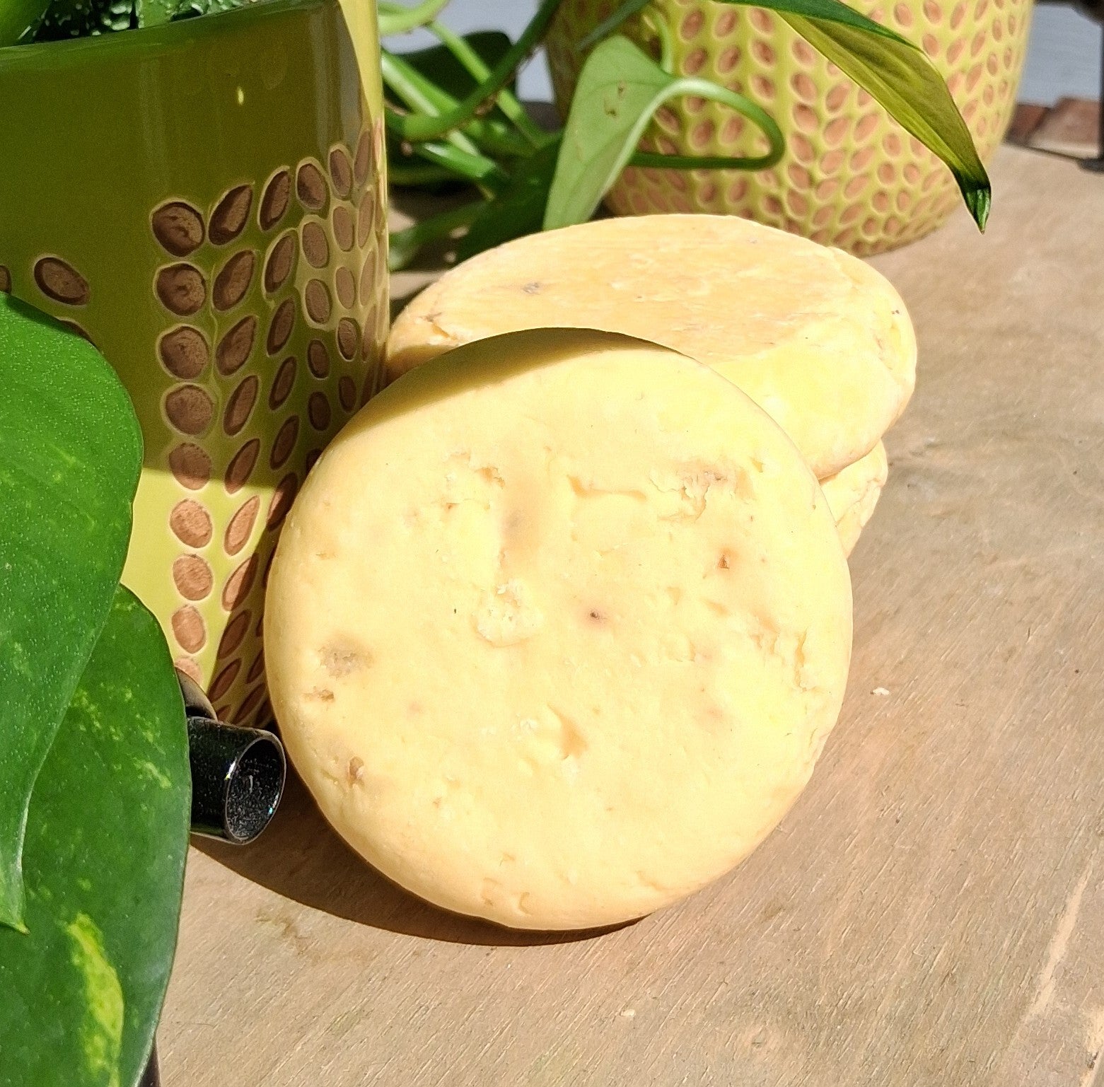 Marshmallow Root - Rosemary Shampoo Bar