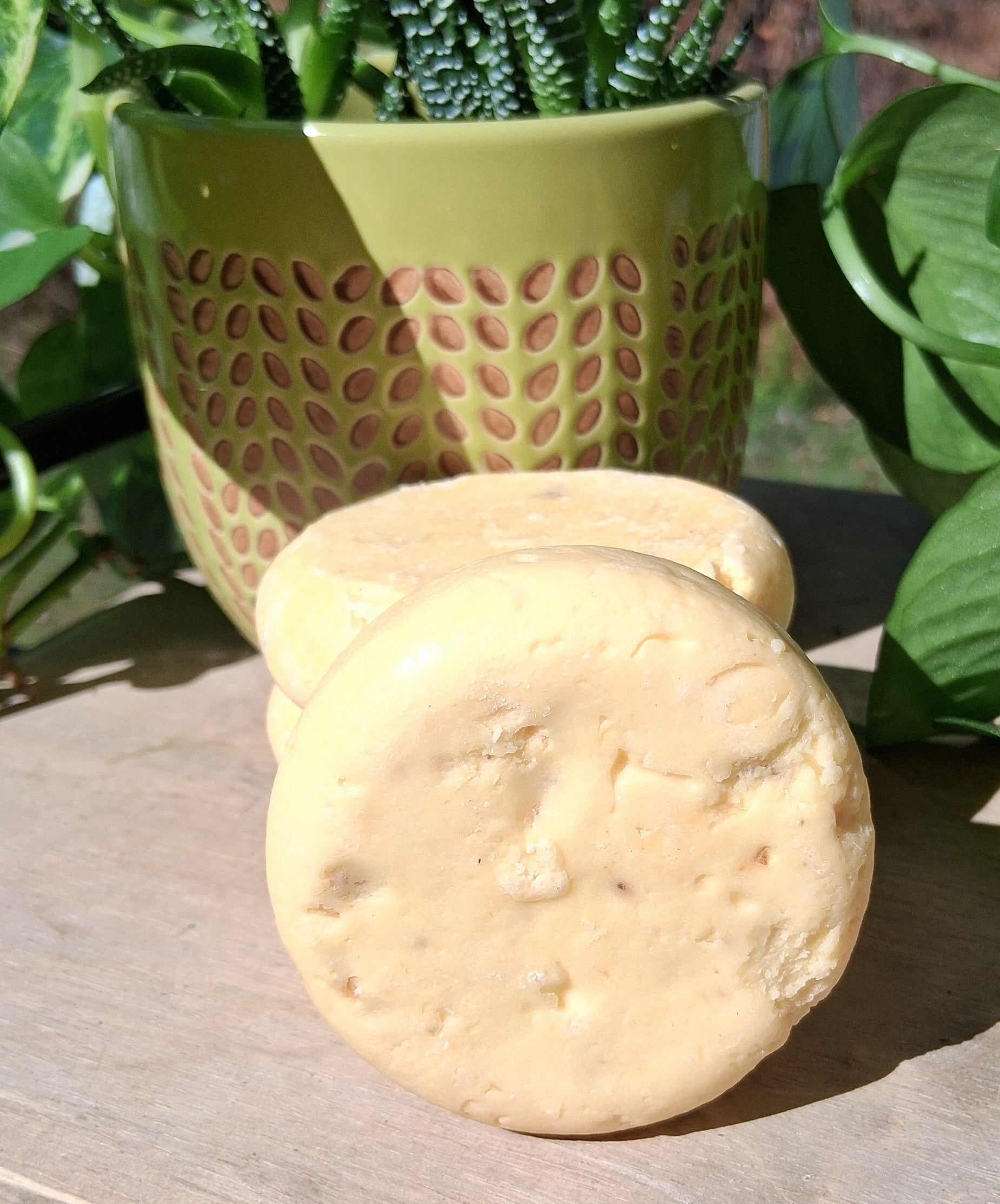 Marshmallow Root Shampoo Bar